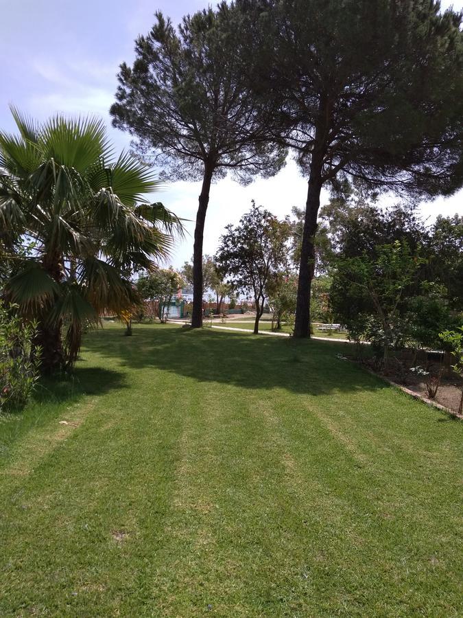 Palmyra Beachfront Studios Нідрі Екстер'єр фото